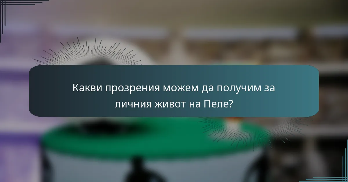Какви прозрения можем да получим за личния живот на Пеле?