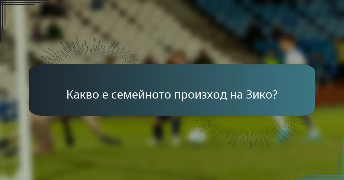 Какво е семейното произход на Зико?